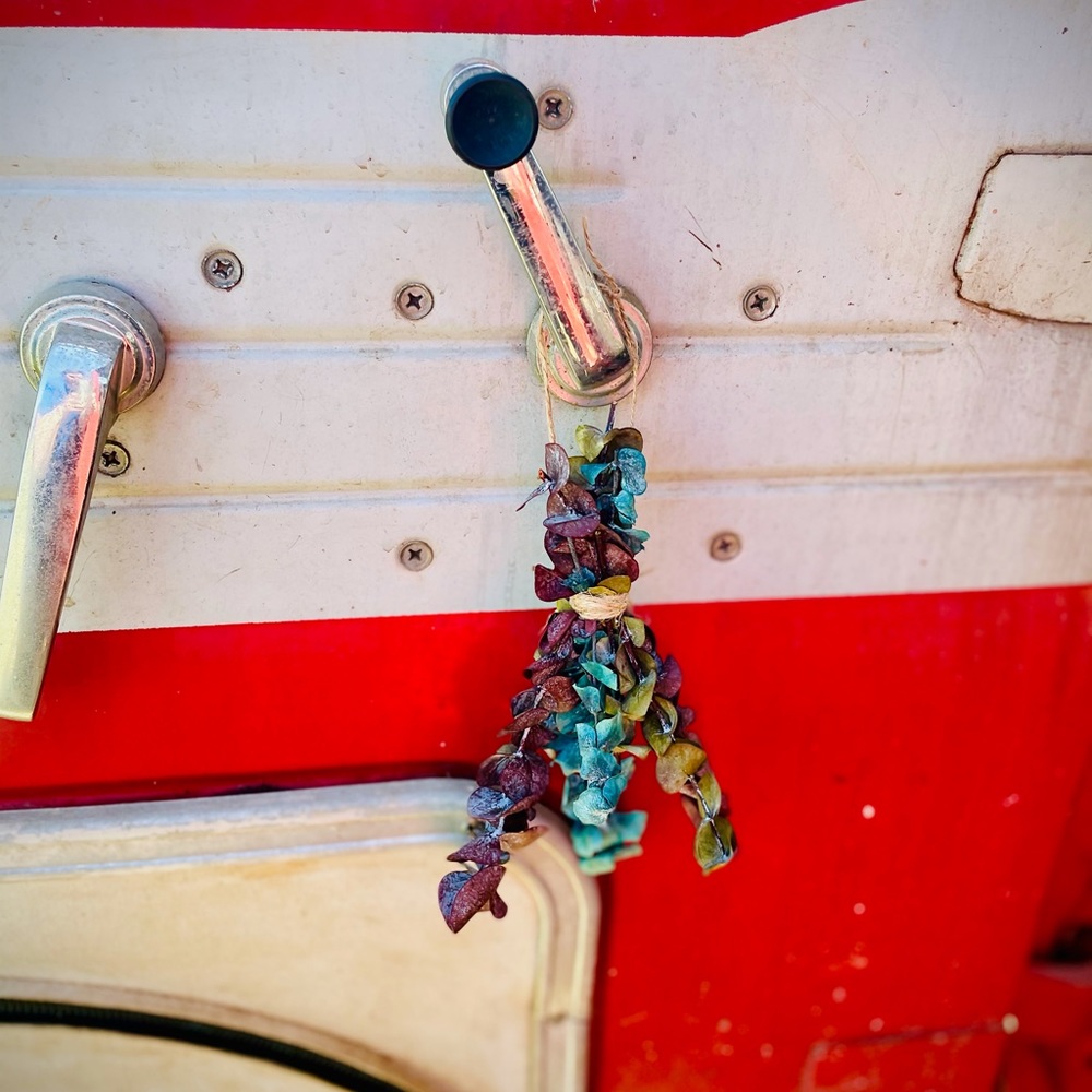 Small Dried Eucalyptus Bundle for Car or Home